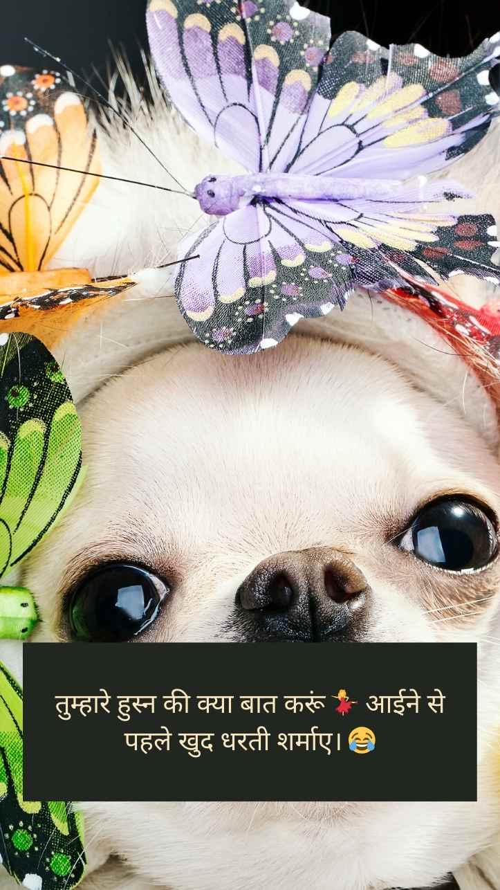 लड़कियों पर फनी शायरी